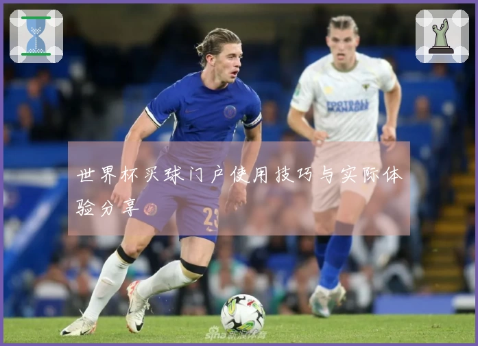 世界杯买球门户使用技巧与实际体验分享