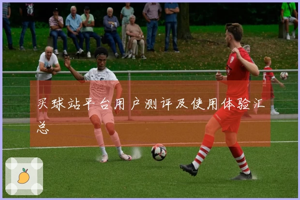 买球站平台用户测评及使用体验汇总