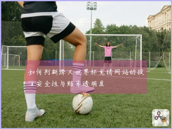 如何判断烽火世界杯竞猜网站的投注安全性与赔率透明度