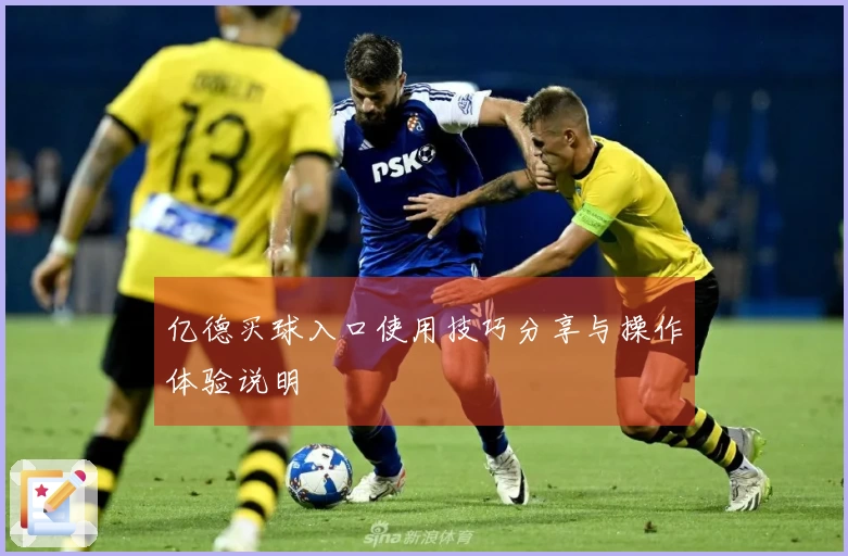 亿德买球入口使用技巧分享与操作体验说明