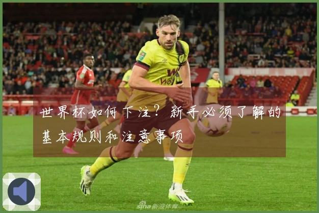 世界杯如何下注？新手必须了解的基本规则和注意事项