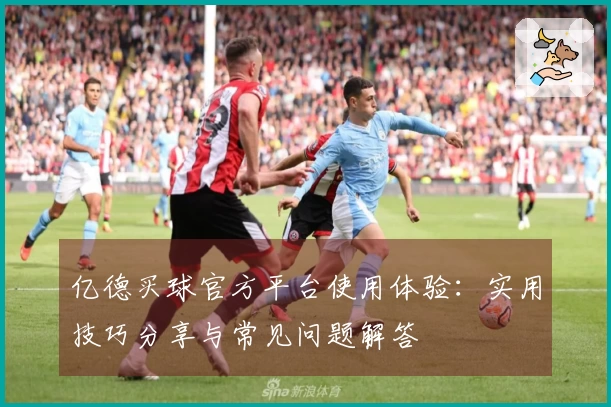 亿德买球官方平台使用体验：实用技巧分享与常见问题解答