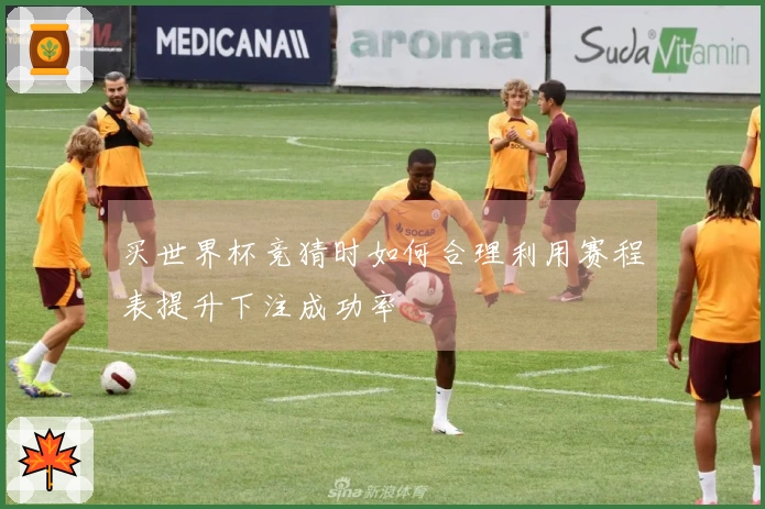 买世界杯竞猜时如何合理利用赛程表提升下注成功率