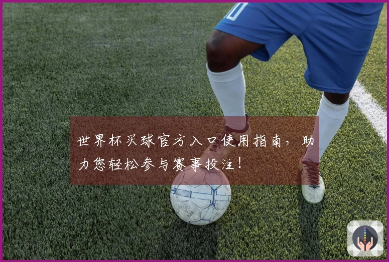 世界杯买球官方入口使用指南，助力您轻松参与赛事投注！