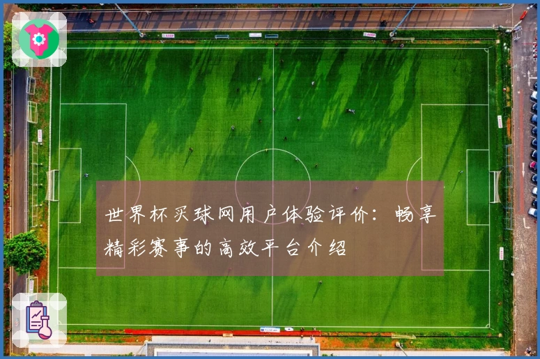 世界杯买球网用户体验评价：畅享精彩赛事的高效平台介绍