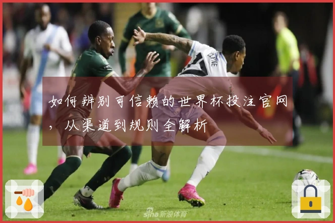 如何辨别可信赖的世界杯投注官网，从渠道到规则全解析
