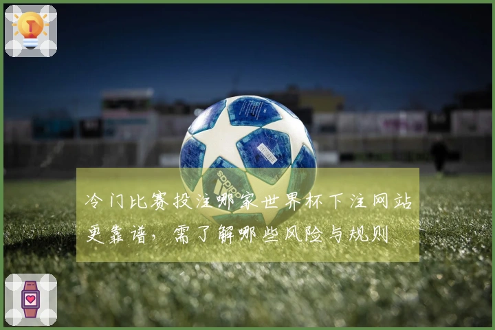 冷门比赛投注哪家世界杯下注网站更靠谱，需了解哪些风险与规则