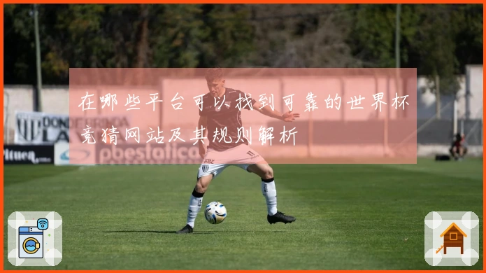 在哪些平台可以找到可靠的世界杯竞猜网站及其规则解析