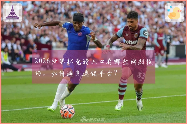 2026世界杯竞猜入口有哪些辨别技巧，如何避免选错平台？