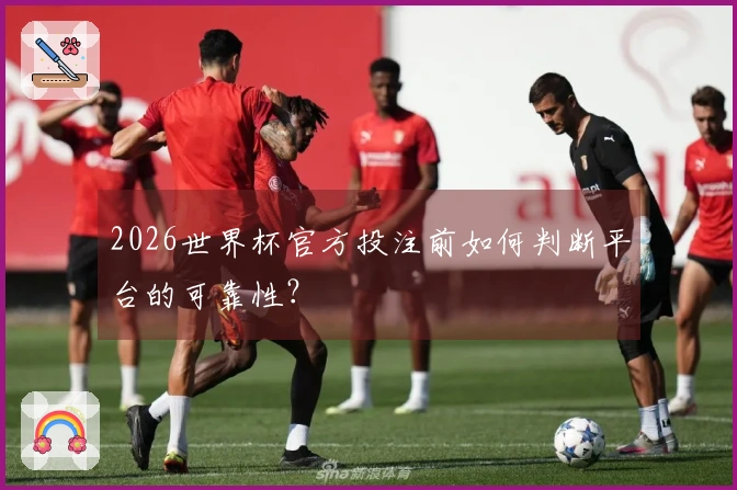 2026世界杯官方投注前如何判断平台的可靠性？