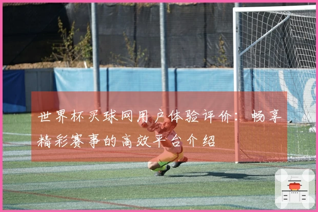 世界杯买球网用户体验评价：畅享精彩赛事的高效平台介绍