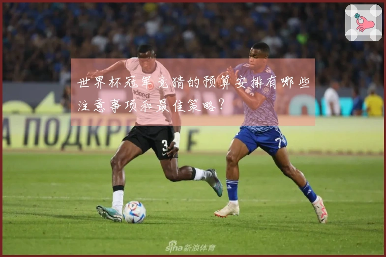 世界杯冠军竞猜的预算安排有哪些注意事项和最佳策略？