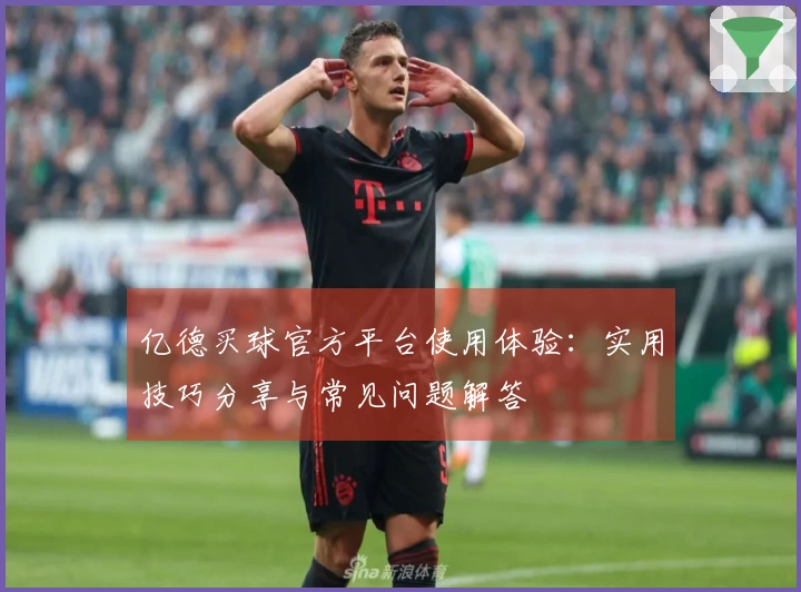 亿德买球官方平台使用体验：实用技巧分享与常见问题解答