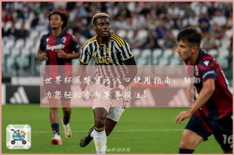 世界杯买球官方入口使用指南,助力您轻松参与赛事投注!