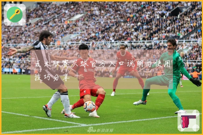 五大联赛买球官方入口说明与使用技巧分享