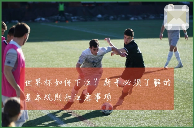 世界杯如何下注？新手必须了解的基本规则和注意事项