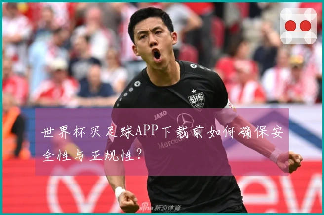 世界杯买足球APP下载前如何确保安全性与正规性？