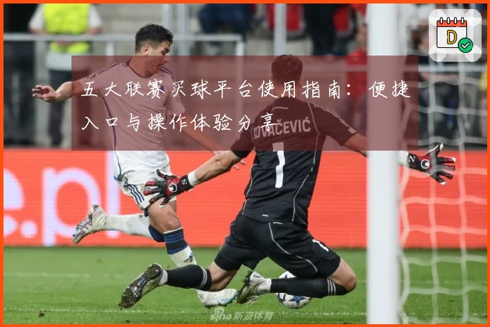 五大联赛买球平台使用指南：便捷入口与操作体验分享