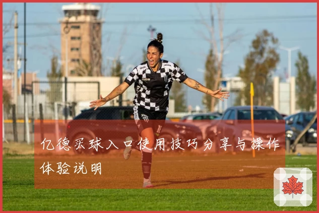 亿德买球入口使用技巧分享与操作体验说明