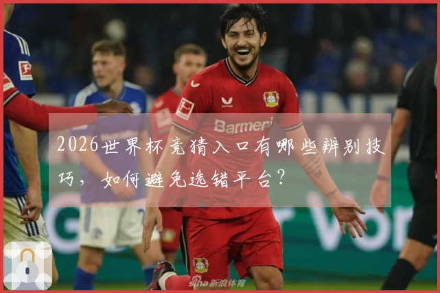 2026世界杯竞猜入口有哪些辨别技巧，如何避免选错平台？