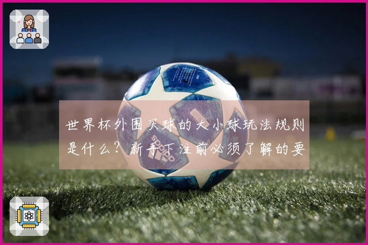 世界杯外围买球的大小球玩法规则是什么？新手下注前必须了解的要点有哪些？