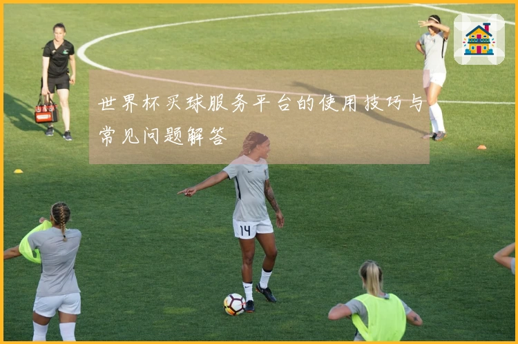 世界杯买球服务平台的使用技巧与常见问题解答